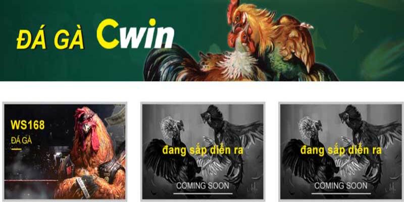 Sân chơi hấp dẫn và nhiều ưu điểm nổi bật