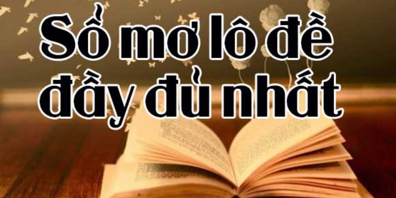 Theo dõi kết quả xổ mơ mỗi ngày
