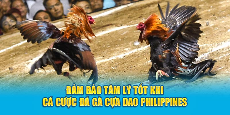 Đảm bảo tâm lý tốt khi đặt cược
