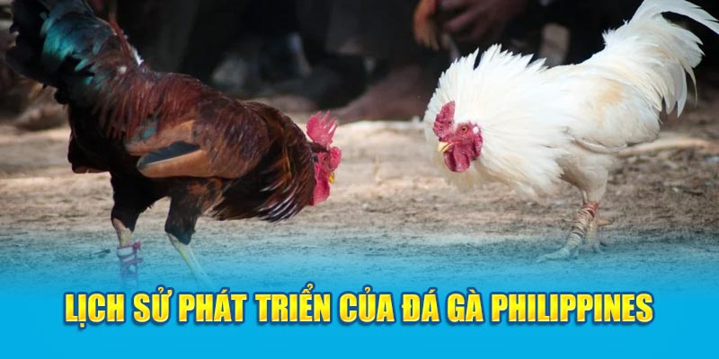 lịch sử phát triển của đá gà philippines