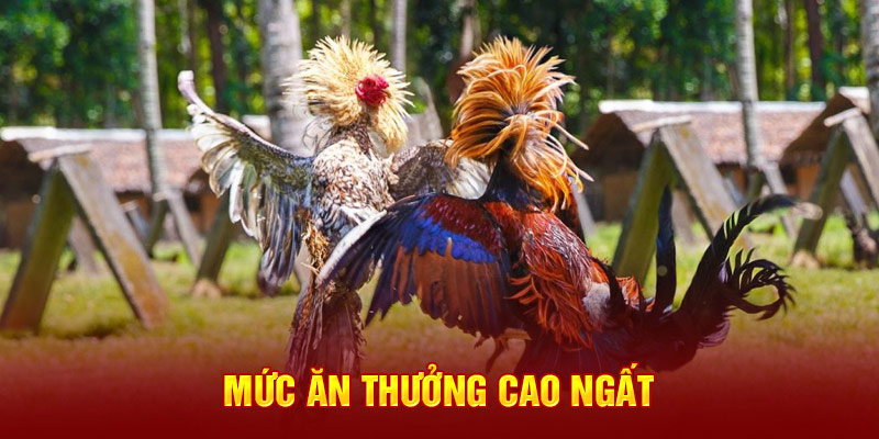 Mức ăn thưởng cao ngất