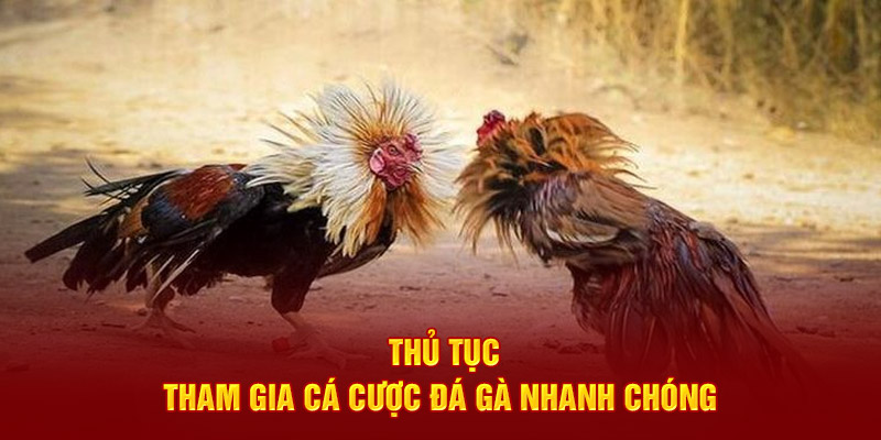 Thủ tục tham gia cá cược đá gà nhanh chóng